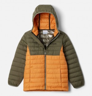 Columbia Powder Lite™ II Hooded Insulated Boys's Jackets Olive | 73423120
