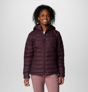 Columbia Powder Lite™ II Hooded Insulated Women Puffer Jacket Burgundy | 34407310